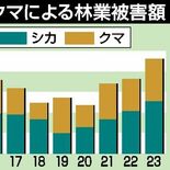 シカ・クマ被害２億円超え　栃木県内林業、計65ヘクタール　爪や口で樹皮…