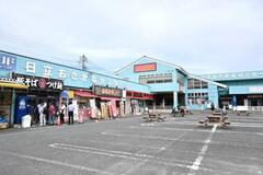 鮮度抜群、旬の海の幸豊富
