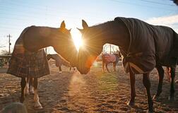 駆ける 光の先へ