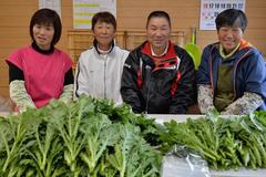 ＜161＞　万能野菜多彩な料理に　ＪＡなすのの春菊