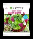 紅芯ダイコンのカット野菜