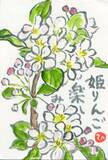読者登壇