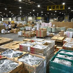 宇都宮市中央卸売市場の水産物取扱、ピークから91％減　背景に魚離れやネット販売普及　赤字運営どう脱却する