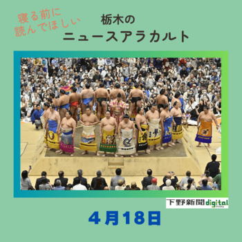 栃木市小野寺産　　〔春蘭〕 値下げしました。 4月18日の栃木県内ニュース 「大相撲春巡業 宇都宮場所 十両・若ノ勝の