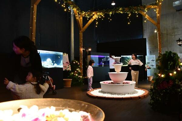 生花やイルミネーションで彩られた特設会場