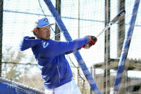 　打撃練習するブルージェイズ・岡本＝２４日、ダンイーデン