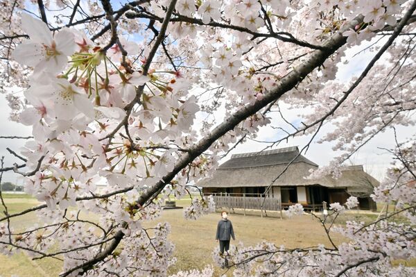 桜町陣屋跡（真岡市）