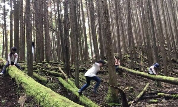 「自分らしくあることができる学校」がテーマのにじのもり自然学校