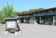 「いちごフェア」道の駅いちかいで初開催　13日から、菓子店など７店が1…