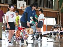 盲導犬の賢さに感心