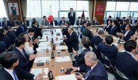 自民、目詰まり解消の要望相次ぐ
