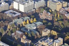 卓越大の審査打ち切り確認へ