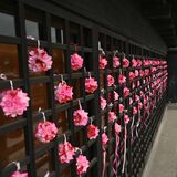 “ＯＲＩＧＡＭＩのまち”に春のフォトスポット　上三川の国登録有形文化財「生沼家住宅」に桜のくす玉登場
