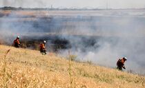 栃木・渡良瀬遊水地で火災