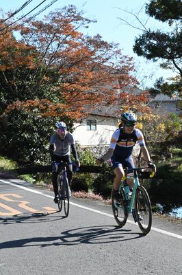 自然を堪能しながらサイクリングを楽しむ参加者たち