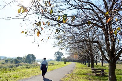 宇都宮・石井桜づつみからの風景