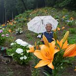 元牧場を花園に再整備　栃木の大阿久さん　アジサイやユリ植栽し無料開放