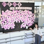 町民の思いで「満開」に 野木駅に桜のメッセージボード 協力隊の鮫ノ口さ…
