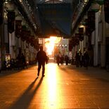 宇都宮に現れた「光の道」　オリオン通り染める夕日、10分間の絶景