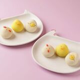 真岡の和菓子店「紅谷三宅」と益子焼の「よしざわ釜」コラボ　SNSで人気の２社　練り切りと皿をセット発売