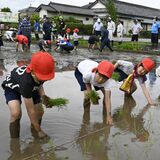 「田んぼの学校」で田植えに挑戦　小山で開校、児童たち泥まみれも丁寧に作業