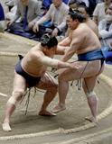 霧島3敗、若景と首位並ぶ