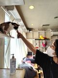つないだ命は３００匹