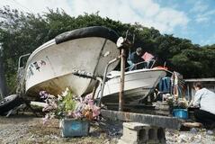 辺野古転覆事故、自民党が提言案