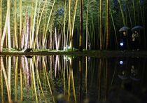 若竹の杜ライトアップ