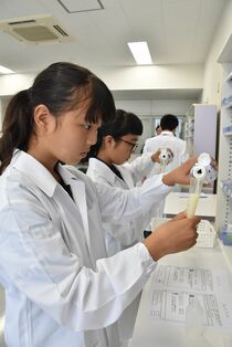 国福大キッズスクール