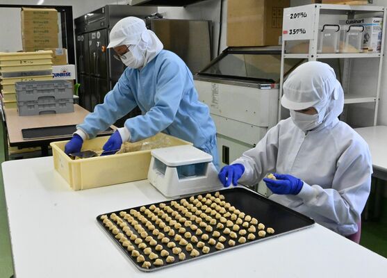 一粒一粒を手作業で成形する製造現場