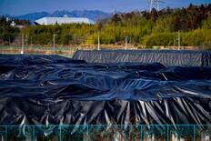 【中間貯蔵施設】実家は更地、田んぼは荒廃