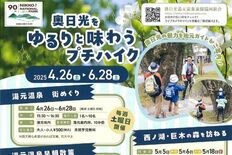 奥日光の自然をゆるりと満喫　週末中心にガイドツアー開催　初の“巨木の森…
