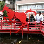 宇都宮の今泉八坂神社に「午」の飾り物　19日まで「天王祭」　無病息災な…