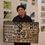 入郷棚田の魅力伝えたい　オーナー・壬生の大垣さん　四季の写真と昆虫標本…