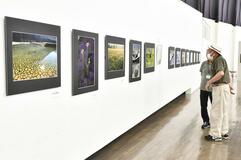 愛好家の力作 写真56点展示