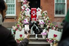 当日はよろしく