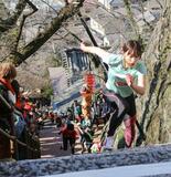 石段２００段、和歌山で健脚競う