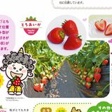 【知っとこ とちぎ】果物・野菜の生産盛ん　全国に誇るイチゴ、ニラ