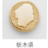 都道府県ピンバッジに18金製　期間限定、完全受注品　ゼンリン４月18日まで受付