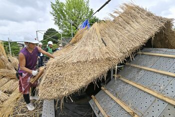 足利学校で茅葺き屋根のふき替え進む 復元から35年で傷み目立ち｜県内
