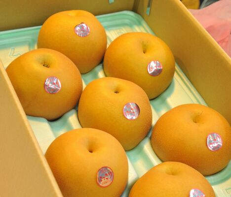 栃木県産ナシ「にっこり」