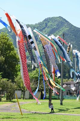 根古屋森林公園で優雅に泳ぐこいのぼり