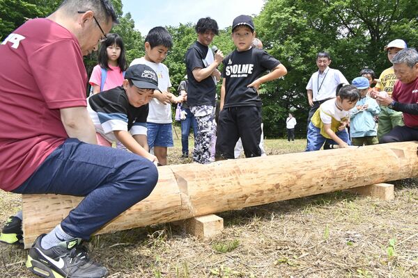 ベンチを作るため、丸太をのこぎりで切る参加者たち