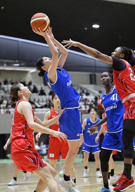 第１クオーター８分、白鴎大の東（中央）がシュートを放つ