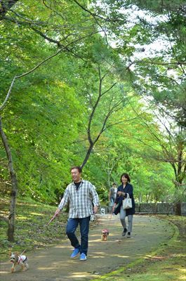 長岡公園