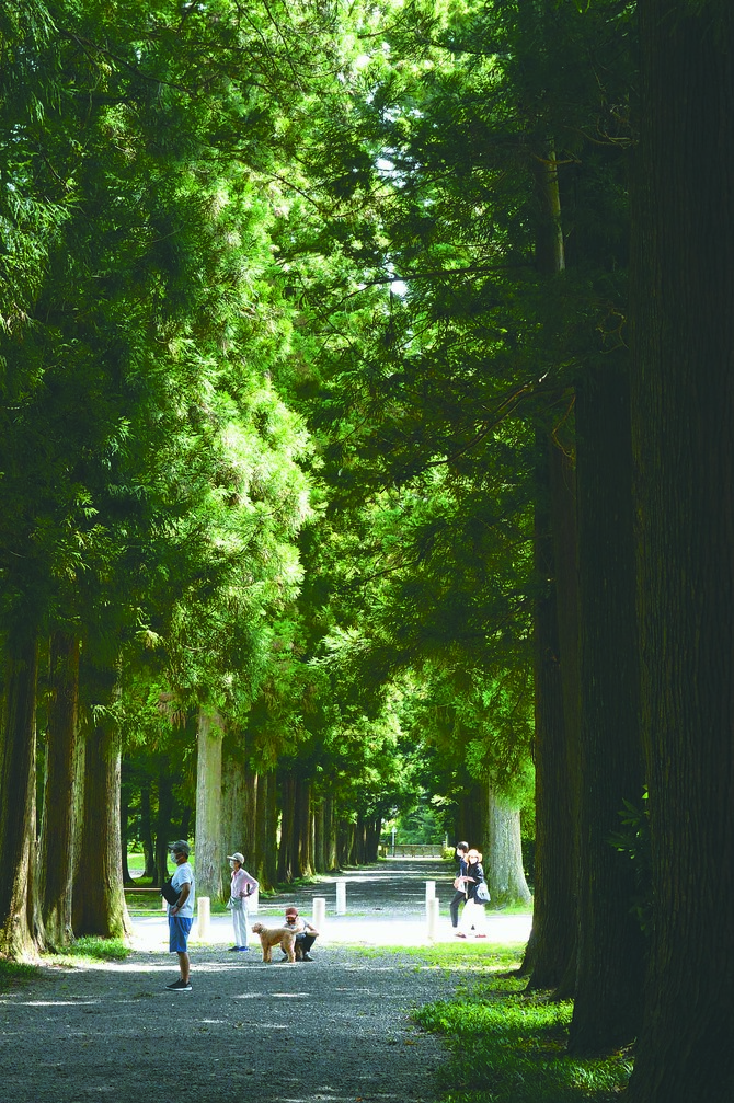 散策路は住民だけでなく、観光客にもひと息つけるスポットとして人気