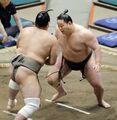 【大相撲の話題】 三田が描く復活の道筋 元十両 大けがを乗り越え「着実に番付上げていきたい」