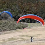 宇都宮で優雅に空の散歩　スカイフェスタ始まる　関東地区で初開催、３日まで