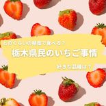 「いちご王国」の皆さん イチゴ好きですか？　ウェブアンケート、驚異的な…